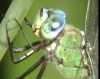 Filename=Imagen23.png
Filesize=604KB
Dimensions=719x575
Date added=Jun 29, 2007 Imagen23.png
